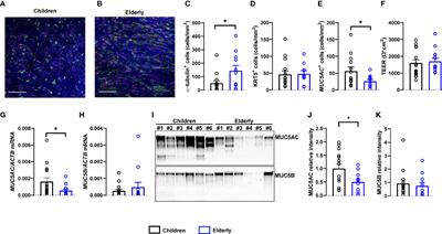 Age-Related Differences in Structure and Function of Nasal Epithelial Cultures From Healthy Children and Elderly People